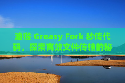 油猴 Greasy Fork 秒传代码，探索高效文件传输的秘密